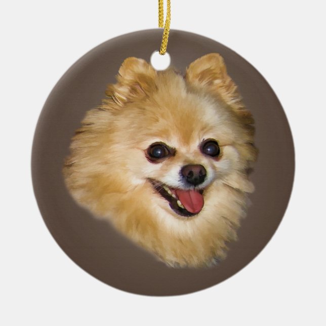 Perro de Pomeranian en el ornamento de Brown (Frente)