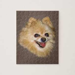 Perro de Pomeranian en el rompecabezas de Brown