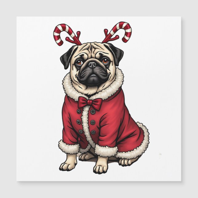 Perro de Pub con Traje de Papá Noel para Amante de (Anverso)