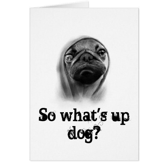 Perro de pug con capucha (Frente)