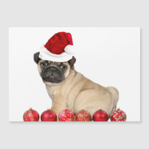 Perro de pug de navidades
