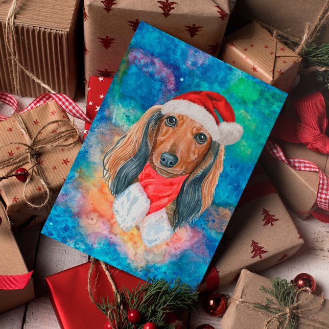 Perro de raza Dachshund de pelo largo en Navidad (Subido por el creador)