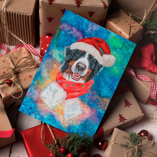 Perro de raza montaña bernesa Navidad