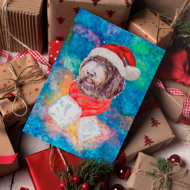 Perro de raza Newfypoo Navidad (Subido por el creador)