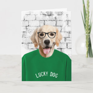 perro de retiro en camiseta verde tarjeta