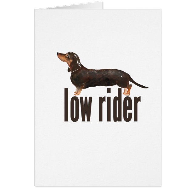 Perro de salchicha de Daschund (Frente)