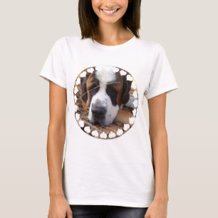 Perro de San Bernardo con camiseta de las mujeres
