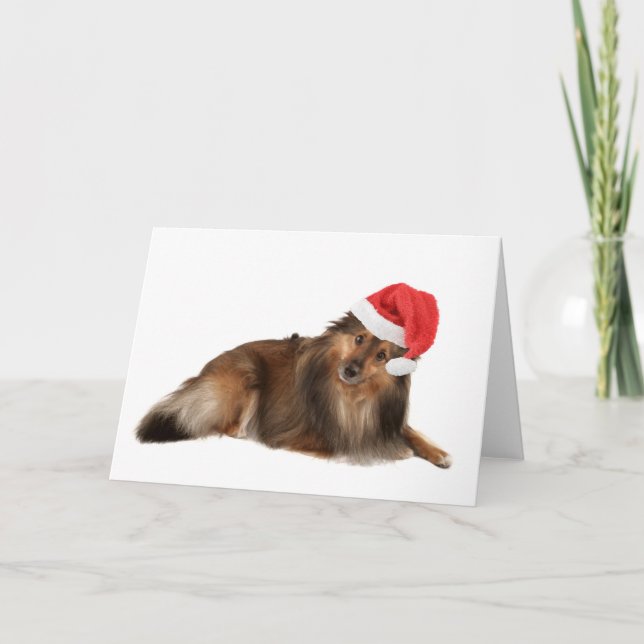 Perro de Sheltie del navidad (Anverso)