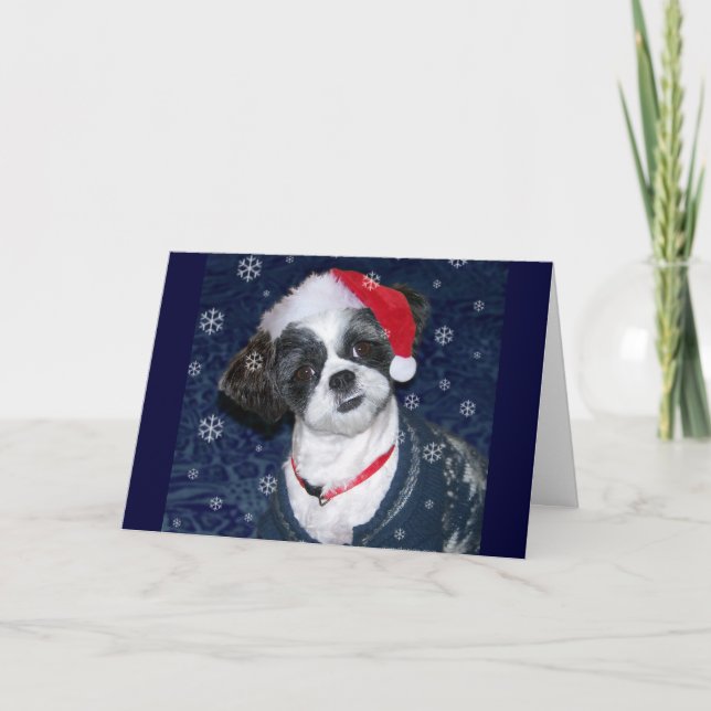 Perro de Shih Tzu del navidad (Anverso)