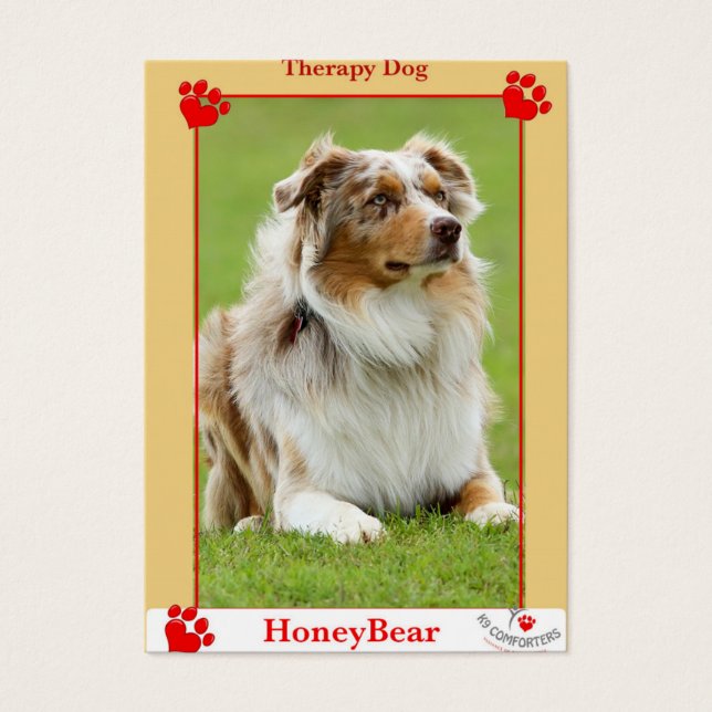 Perro de terapia con retenedores K9 (Frente)