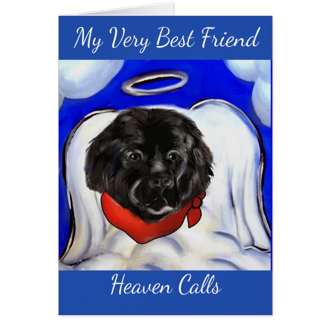 Perro de Terranova (Frente)