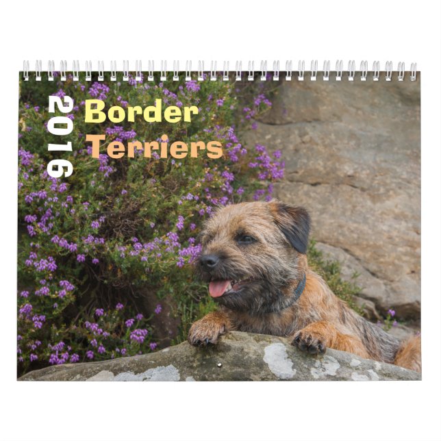 Perro de Terrier de frontera, medio, calendario (Tapa)