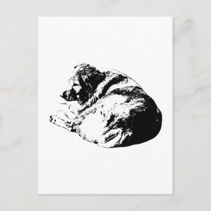 Perro de Tinta Negra Enroscado Envía Nota Tranquil