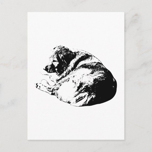 Perro de Tinta Negra Enroscado Envía Nota Tranquil (Anverso)