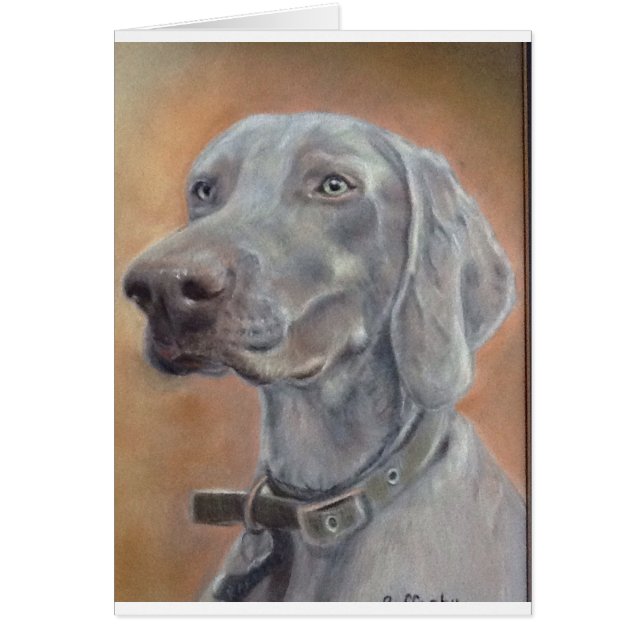 Perro de Weimaraner (Frente)