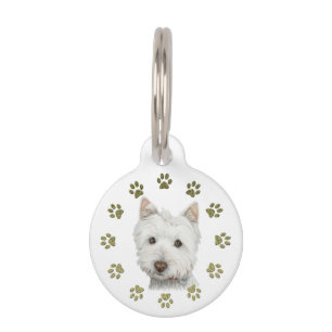Perro de Westie y placa de identificación lindos