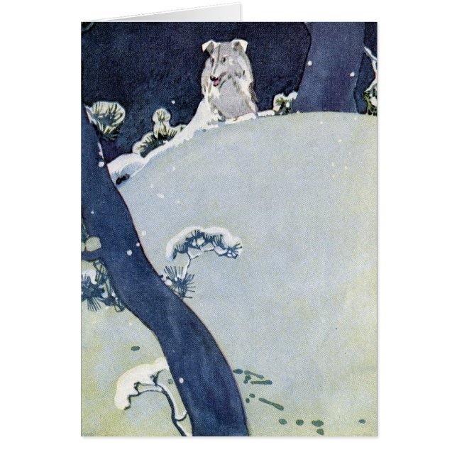 Perro debajo de los pinos Nevado (Frente)