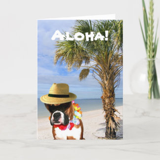 Perro del boxeador de la hawaiana en la tarjeta de