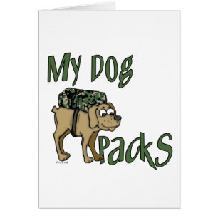 Perro del campamento