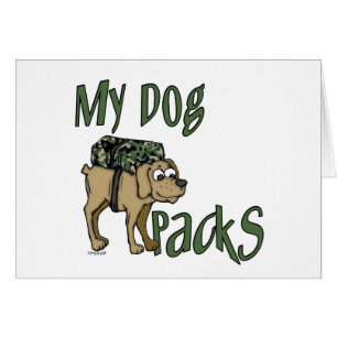 Perro del campamento