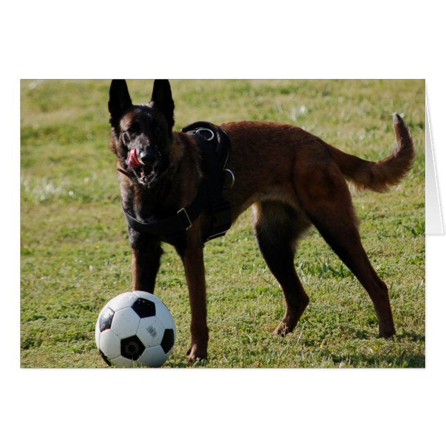 Perro del fútbol (Anverso (Horizontal))