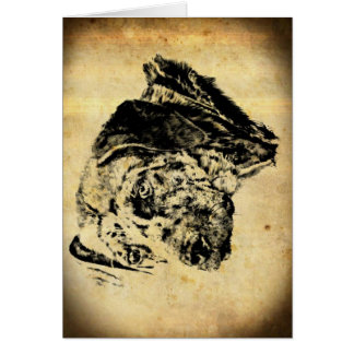 Perro del leopardo de Luisiana Catahoula de antaño