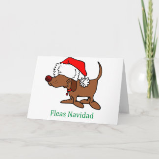 Perro del navidad