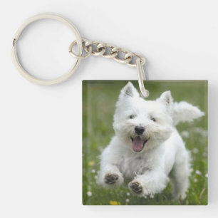 Perro del regalo del llavero de 2 fotos del