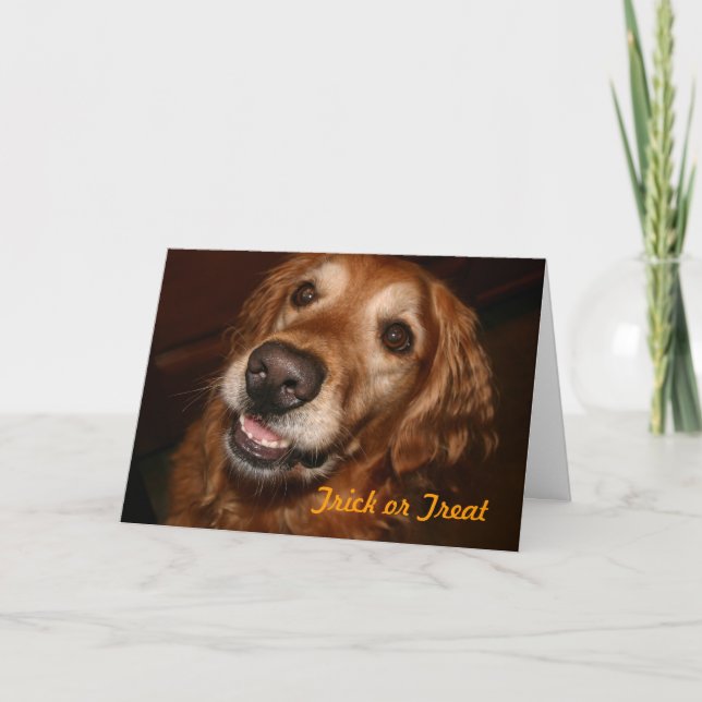 Perro del truco o de la invitación (Anverso)