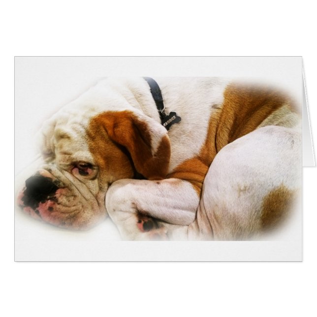 Perro descendente (Anverso (Horizontal))