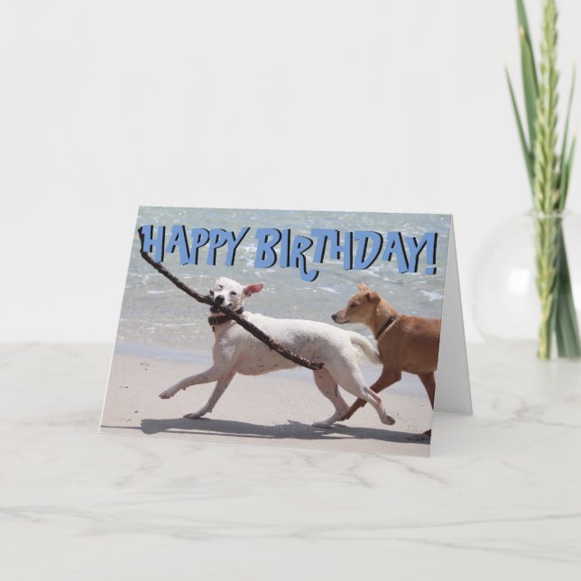 Perro divertido con la tarjeta de cumpleaños del (Anverso)