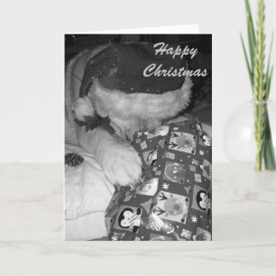 perro divertido de Akita con navidad del regalo