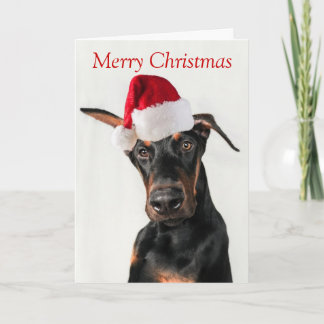 Perro Doberman con tarjeta de Navidades de Santa H