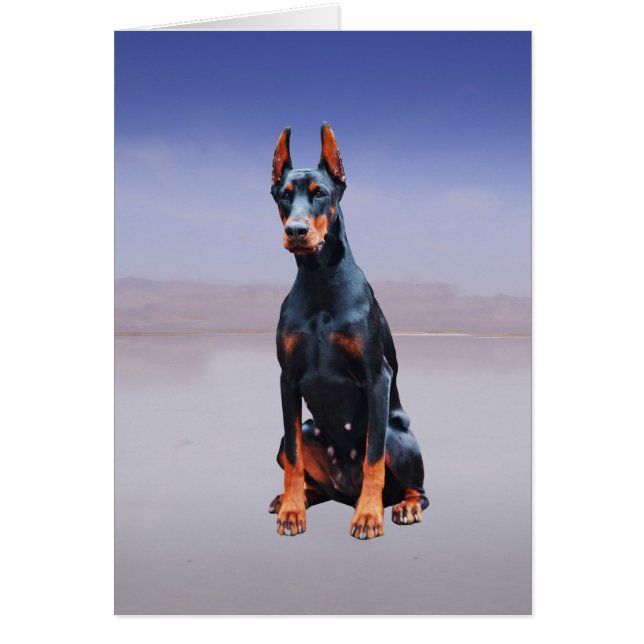 Perro Doberman Sentado En La Playa (Frente)
