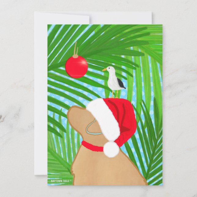 Perro Dorado Tropical Santa Gaviota Navidad Plano (Anverso)