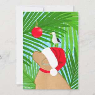 Perro Dorado Tropical Santa Gaviota Navidad Plano