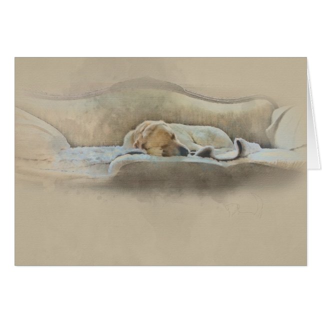 perro dormido (Anverso (Horizontal))
