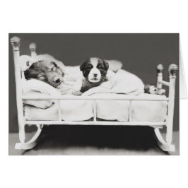 Perro duradero de cosecha y tarjeta de porcino