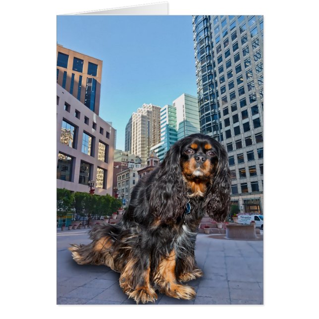 PERRO EN LA CIUDAD (Frente)