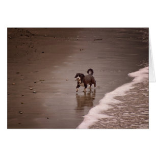 Perro en la playa Sepia Toned Blank