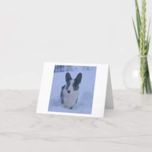 Perro en la tarjeta de Navidad plegada