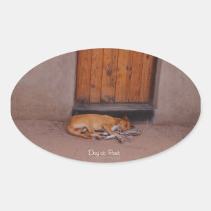 Perro en los Pegatinas de los Rest Oval