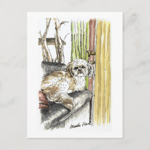 Perro en postales para sofá