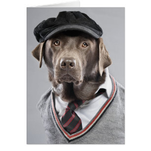 Perro en suéter y gorra