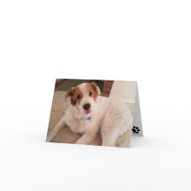 Perro en tarjeta de nota en blanco con huellas de 