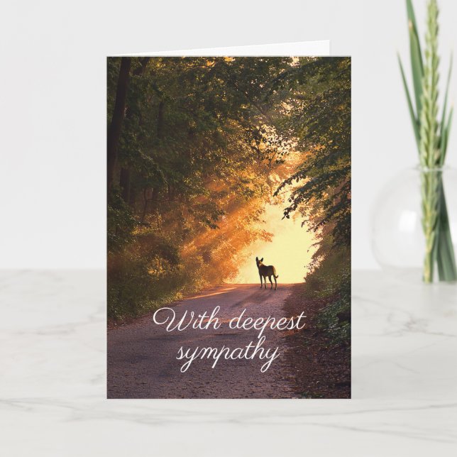 Perro en tarjeta de simpatía por la puesta del sol (Anverso)