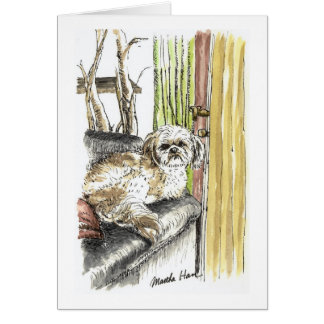 Perro en tarjetas del sofá