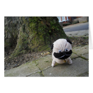 Perro en un pavimento