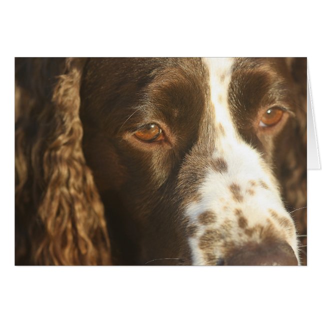 Perro English Springer Spaniel Mensaje personaliza (Anverso (Horizontal))