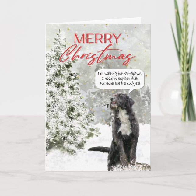 Perro esperando la tarjeta de Navidades de Santa F (Anverso)